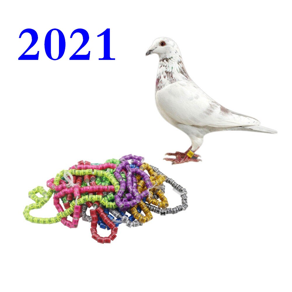 2023/2024      ѱ ̽   ..